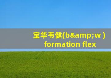 宝华韦健(b&w )formation flex